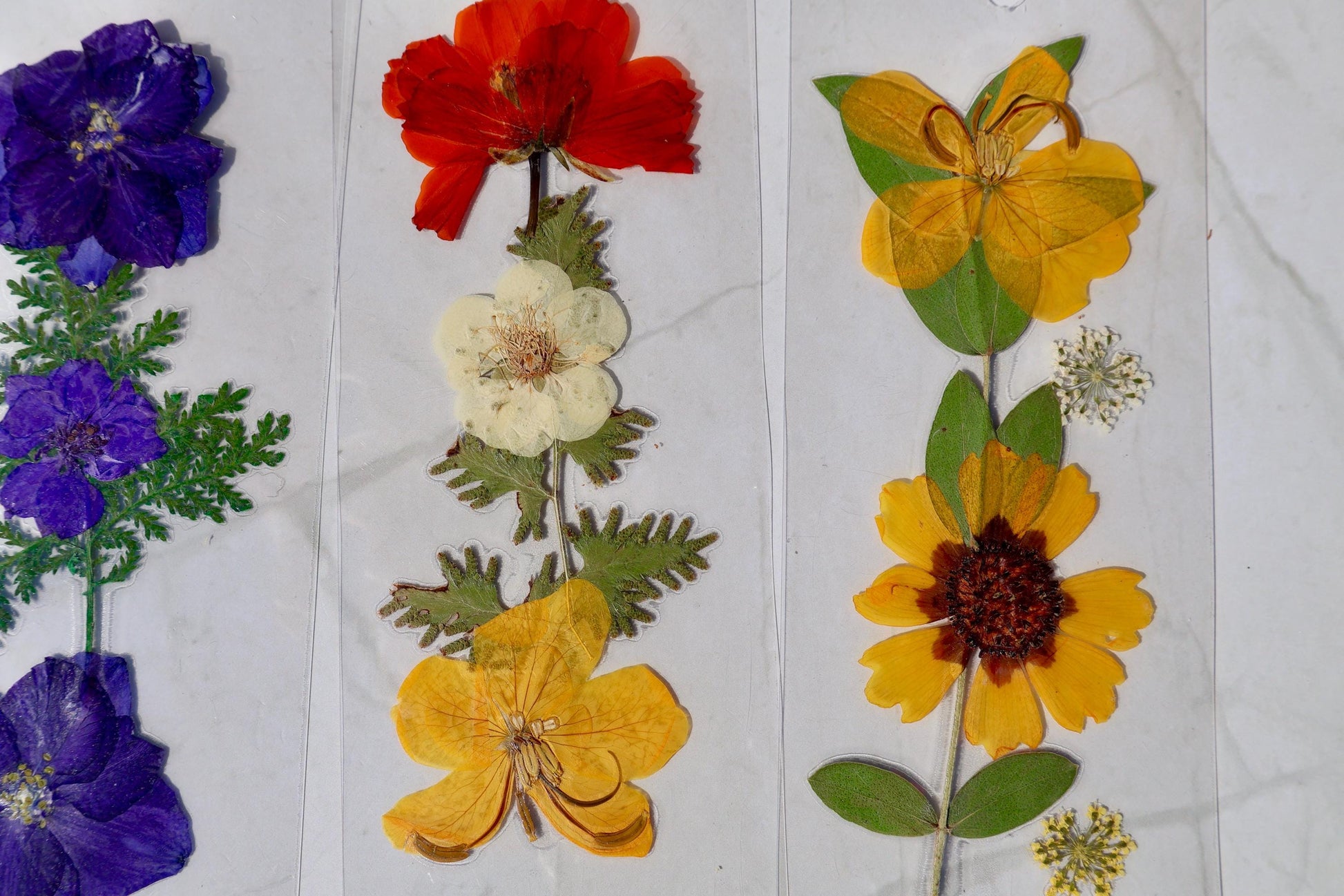 Handmade Pressed Flower Bookmark: Floral Laminated Reading Accessory